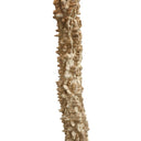 Driftwood floor lamp